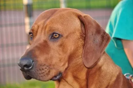 Letzter Spieltag Saison 2009/2010